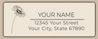 Ivory Gerber Daisy Line Art Return Address Labels