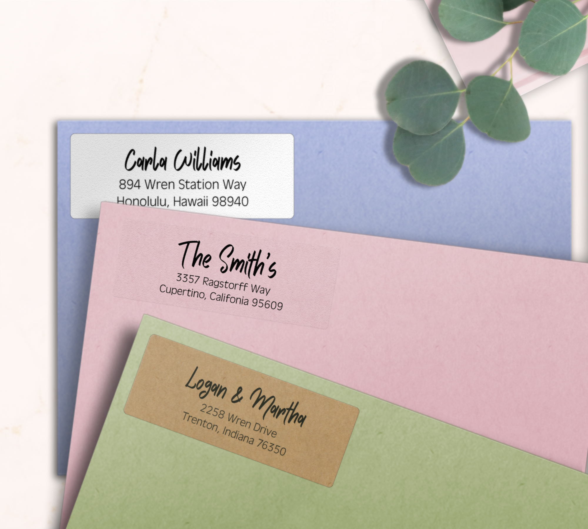 Modern Bold Brush Script Return Address Labels on Evelopes