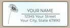 Waterproof Gerber Daisy Line Art Return Address Labels