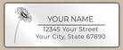White Glossy Gerber Daisy Line Art Return Address Labels